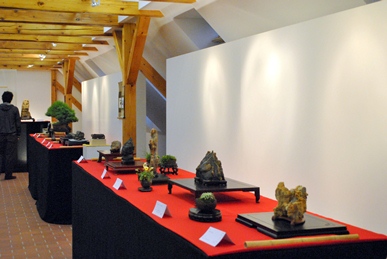 bonsai es suiseki mustra bonsai es suiseki kiallitas az erdi varosi galeriaban hungary marczika bonsai studio